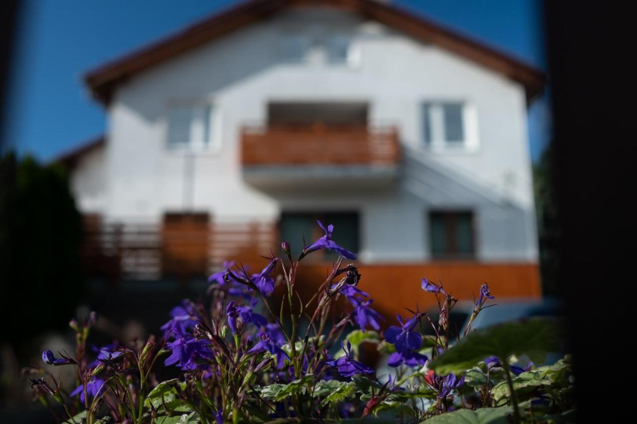 Apartamenty Karkonosze Gory Izerskie ピエホビツェ エクステリア 写真